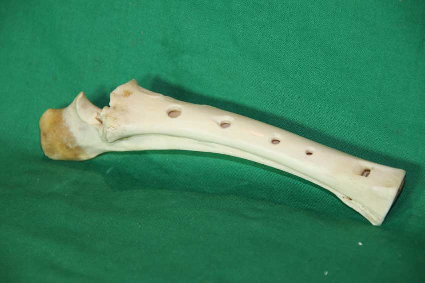 Knochenflöte 23D