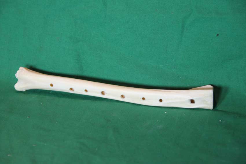 Knochenflöte 23G