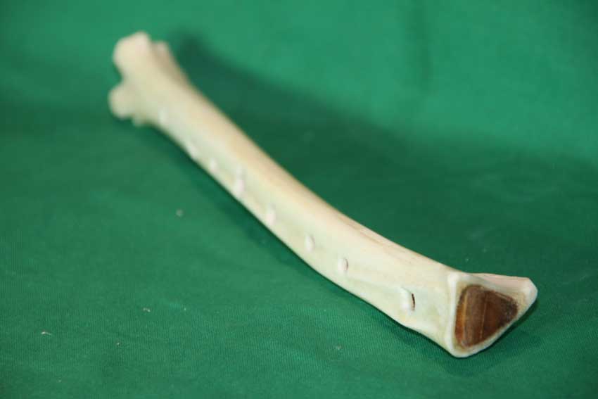 Knochenflöte 23G